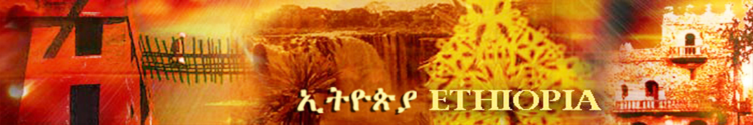 banner3-1.jpg